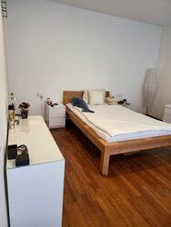 Michaels' Residences (D23), Semi-Detached #402039871